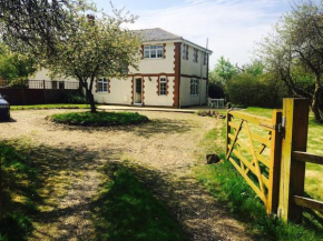 Rural Country Cottage in Calbourne